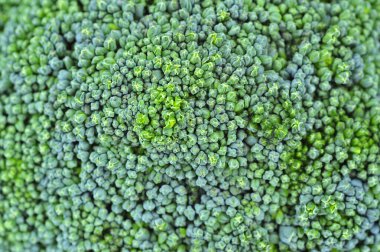 Taze deniz ürünleri eriştesi. Yakın plan.