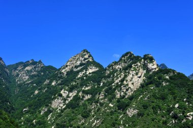 Yaz dağ ormanı peyzaj