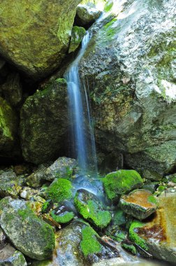 Dağ pınarı şelalesi çok güzel