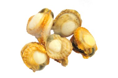 Deniz tarakları beyaz arkaplanda izole edilir