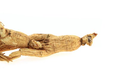 Ginseng beyaz arka planda