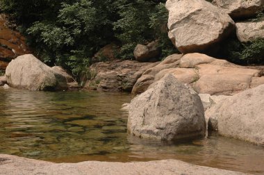 Dağdaki ağaçlar ve nehir manzarası 