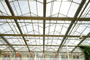 Sokak lambası yakın mesafeden ateş edilmiş.