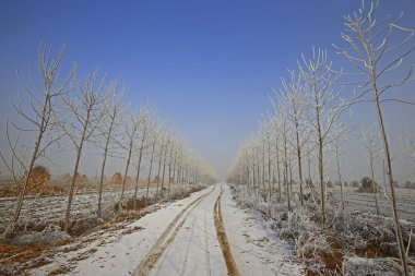 Kışın kar manzarası