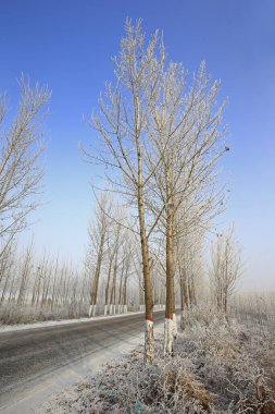 Kışın kar manzarası
