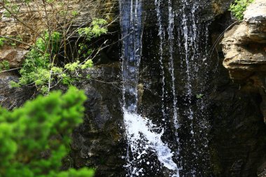 Kırmızı akçaağaç çok güzel ayrılıyor.