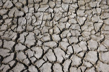 İklim ısınması kurumuş topraklar 