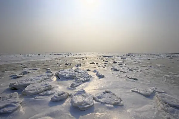 stock image The winter sea ice