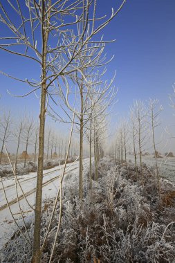 Kışın kar manzarası