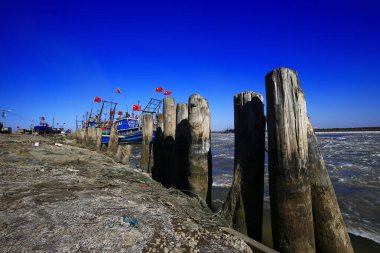Mavi gökyüzünü arka plan olarak kenetledim.