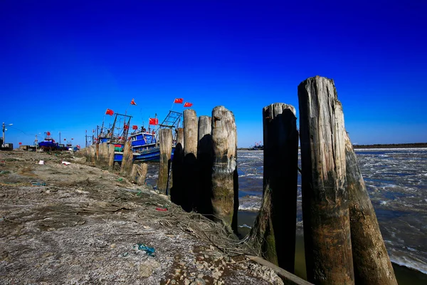 Mavi gökyüzünü arka plan olarak kenetledim.