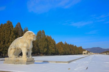 Çin 'deki Antik Mimari, Qing Dongling