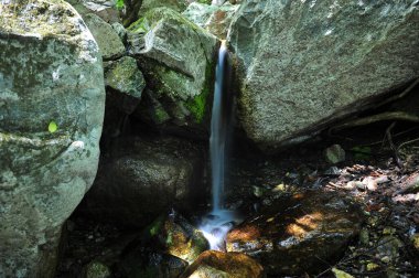 Dağ pınarı şelalesi çok güzel