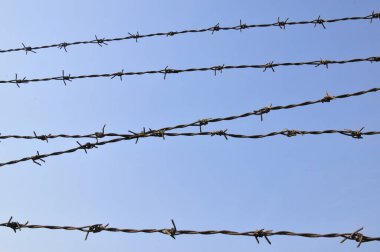 Paslı dikenli tel, mavi gökyüzü arkaplanı