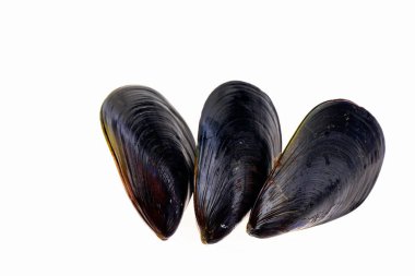 Beyaz arkaplanda midyeler