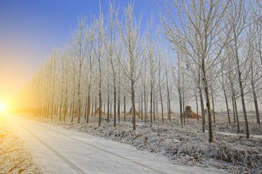Kışın kar manzarası