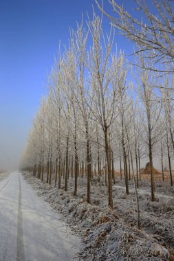 Kışın kar manzarası