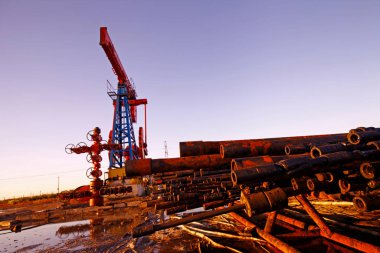Borular ve vanalar petrokimya endüstrisi