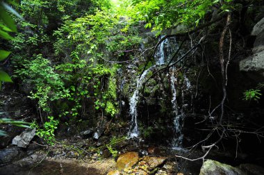 Dağ pınarı şelalesi çok güzel