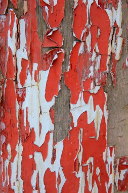 Ahşap tahtadaki boya, kırmızı.
