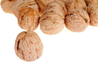 Ceviz beyaz bir arka plan üzerinde izole,