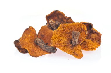 Mantarın beyaz arka planı