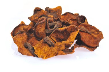 Mantarın beyaz arka planı