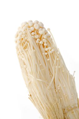 Mantarın beyaz arka planı 