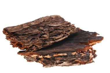 Beyaz arka planda çam kabuğu