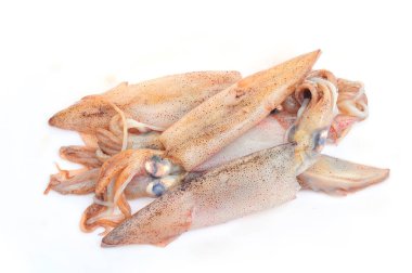 Kalamar beyaz arkaplanda izole edildi