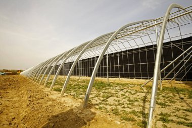 Modern sebzeleri inşa etmektir.