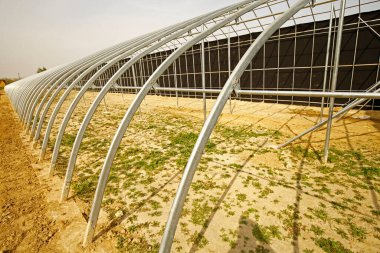 Modern sebzeleri inşa etmektir.