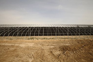 Modern sebzeleri inşa etmektir.