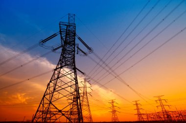 Hayvanat bahçesindeki aslan.