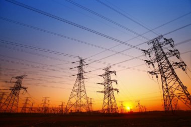 Hayvanat bahçesindeki aslan.