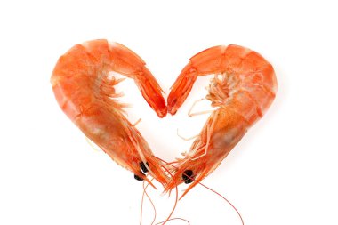 Beyaz arkaplanda karides izolasyonu