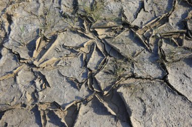 İklim ısınması kurumuş topraklar 