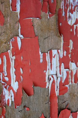 Tahtadan dökülen boya kırmızıdır.