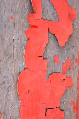 Tahtadan dökülen boya kırmızıdır.