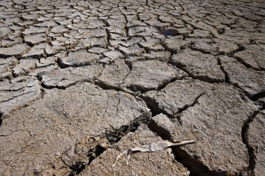 İklim ısınması kurumuş topraklar 