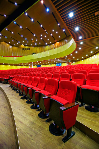 The beautiful jellyfish very beautiful