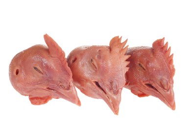 Beyaz arka planda taze tavuk kafası