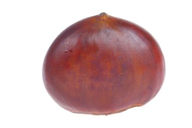 Beyaz arka planda kestaneler, yakından çekilmiş.