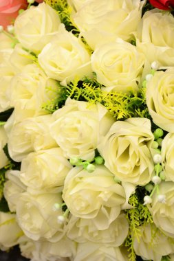 Güzel orkideler yeni bir iğne kadar zekiler.