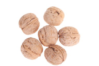 Ceviz beyaz bir arka plan üzerinde izole,