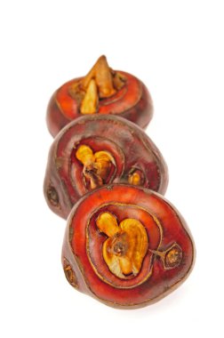 beyaz zemin üzerine su kestane 