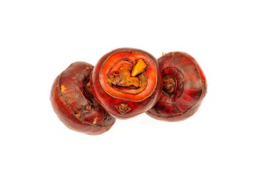 beyaz zemin üzerine su kestane 