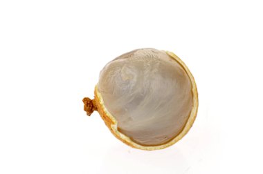 Kabuklu karpuz tohumları. Yakın çekim, yakın çekim görüntüleri.