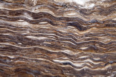 Kaya dokusu yakın mesafeden çekim