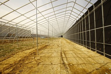 Modern sebzeleri inşa etmektir.